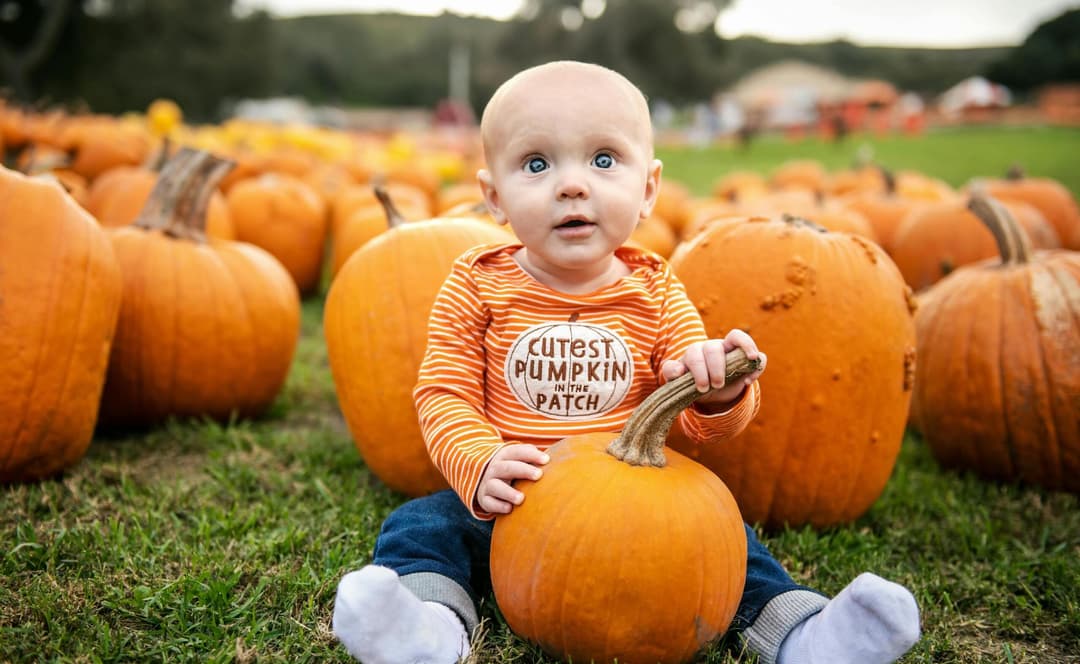 Fall Family Adventures: Pumpkin Patches and Corn Mazes in Eastern LA County